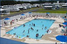 Swimming Pool full of people